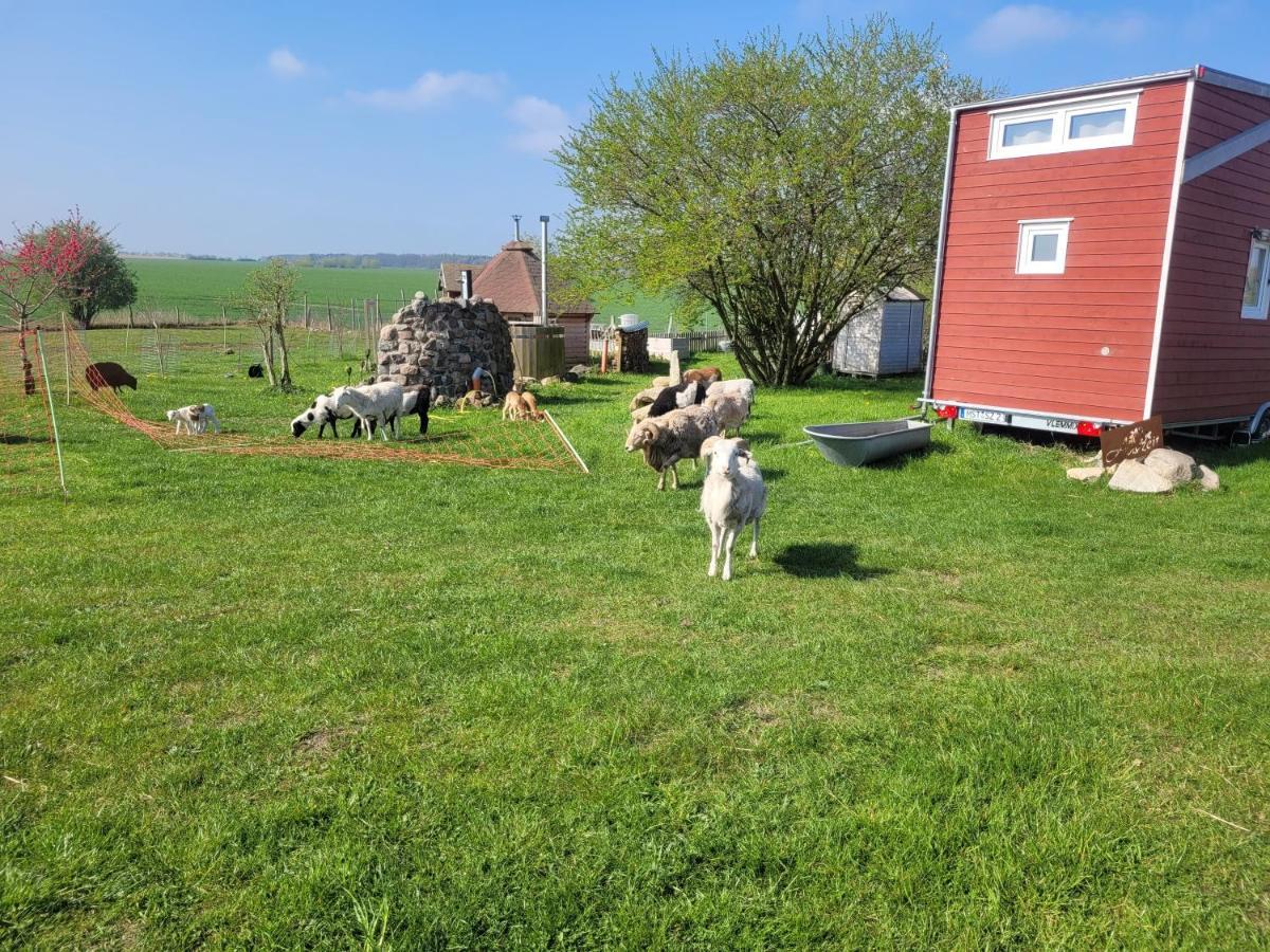 Villa Tiny House Schonbeck  Exterior foto