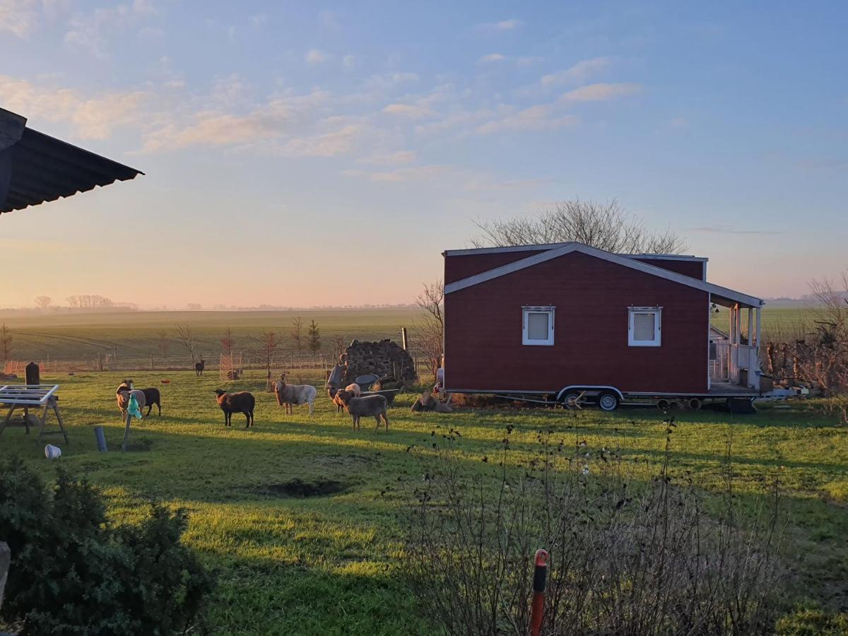 Villa Tiny House Schonbeck  Exterior foto